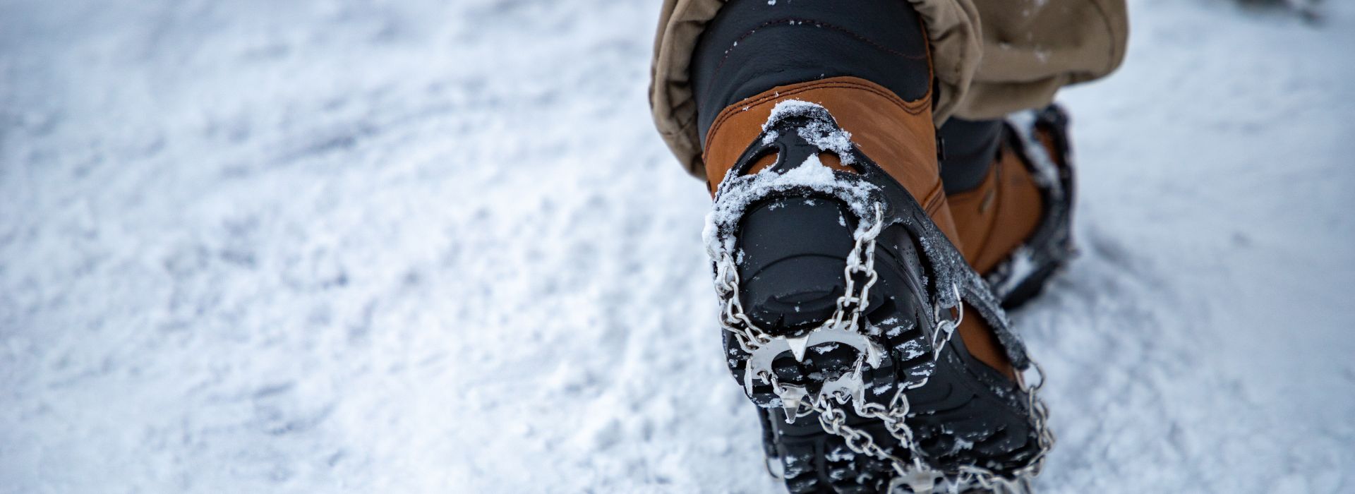 Update on Snow Shoe trails